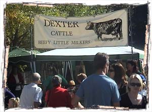 Dexter Cattle : Social Events